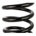 thumbnail image 4 of Scott Drake C7ZZ-5310-B Stock Coil Springs For V8, 4 of 5