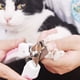 thumbnail image 3 of Cortaúñas y recortador de uñas para perros y gatos de acero inoxidable, con protector de seguridad para evitar cortes excesivos, hoja afilada para uñas gruesas Zhivalor 2034366-1, 3 of 9
