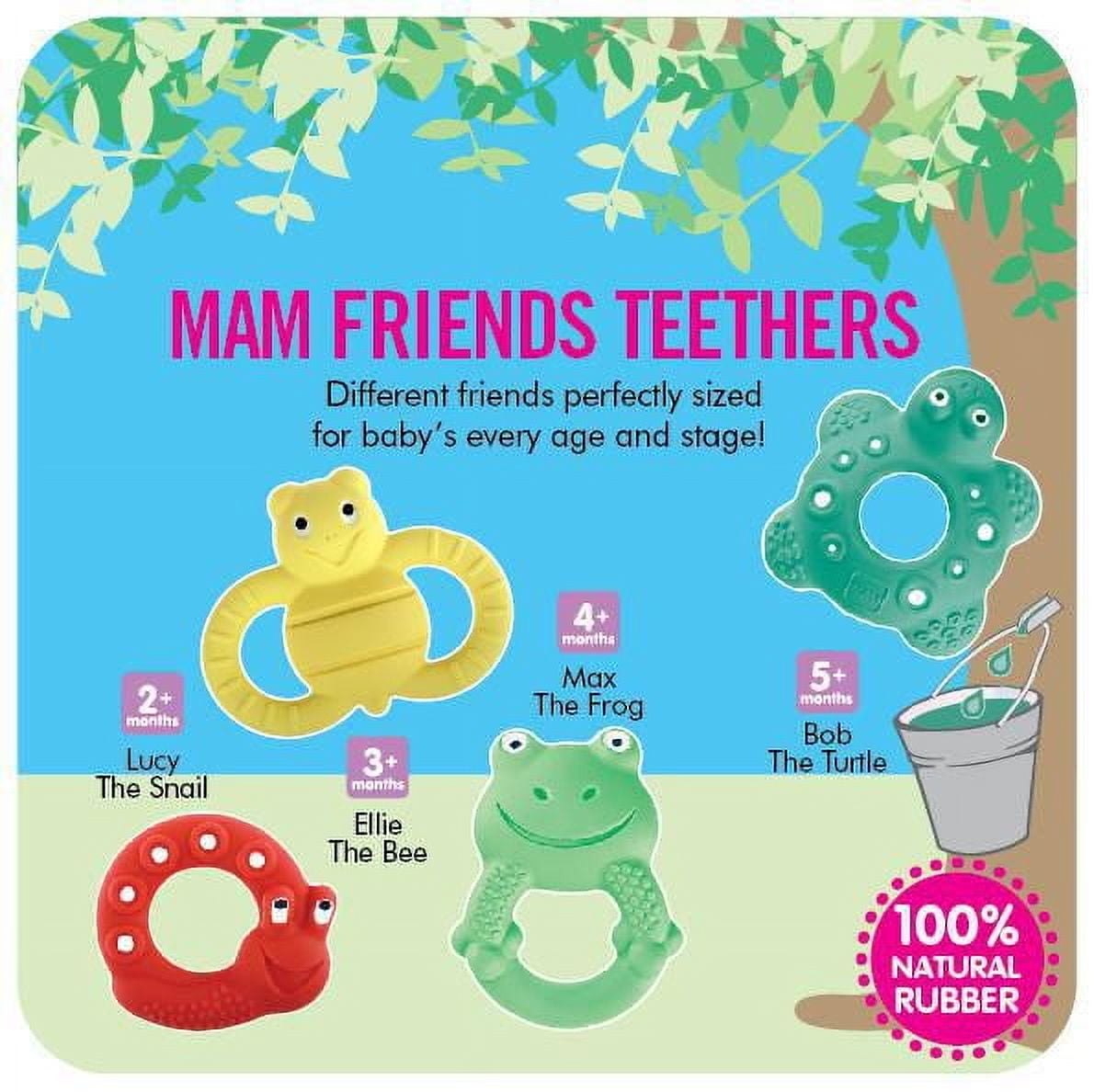 Jouet de dentition MAM Friends qui aide à promouvoir le développement, fait de caoutchouc entièrement naturel  - Lucy l'escargot, 2 mois et plus, 1 unité, unisexe