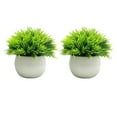 thumbnail image 1 of Plantas falsas en maceta Billuyoard 2 piezas multicolor bajo costo de Mantenimiento estilo alto impacto, 1 of 6