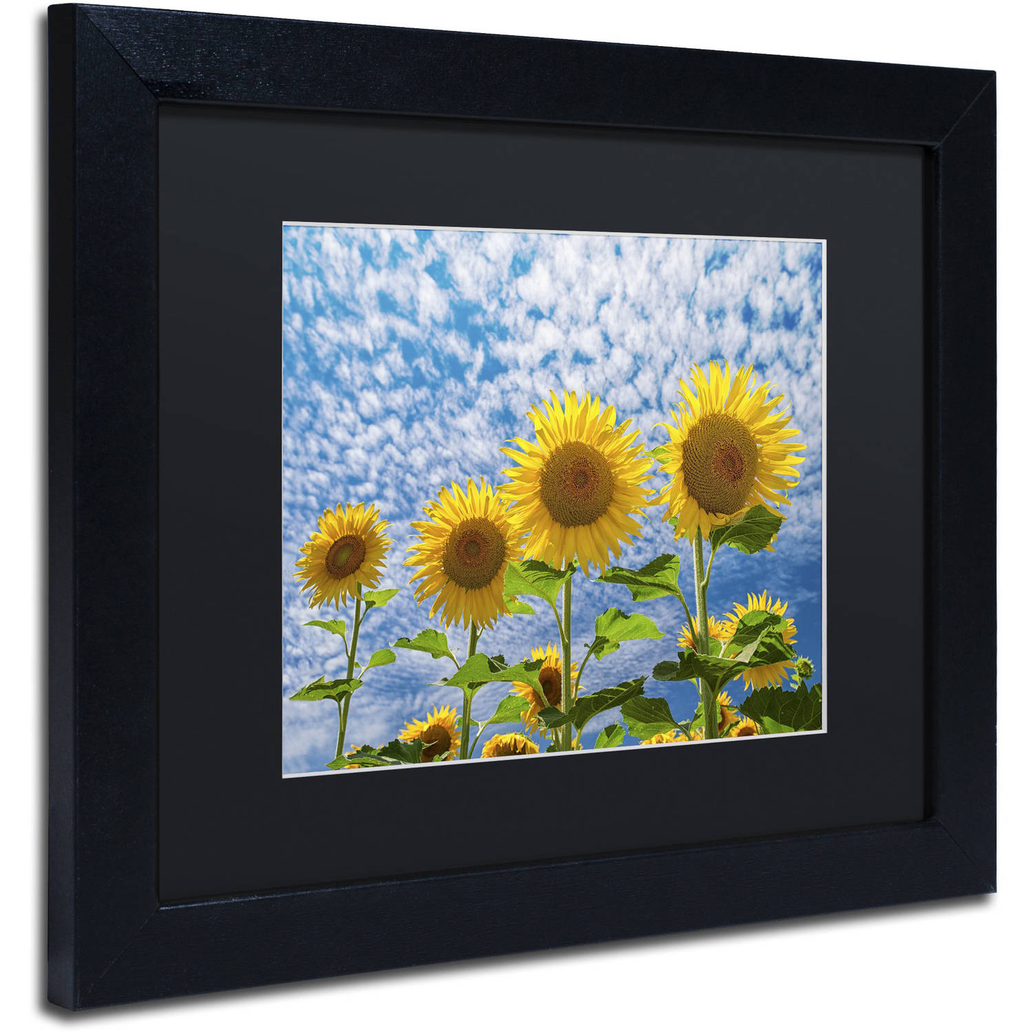 Trademark Fine Art "The Four Sisters" Canvas Art by Michael Blanchette Photography Black Matte, Black Frame
