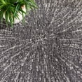 thumbnail image 5 of SAFAVIEH Courtyard Doroteja Radiant Indoor/Outdoor Area Rug, Grey/Black, 6'7" x 9'6", 5 of 10