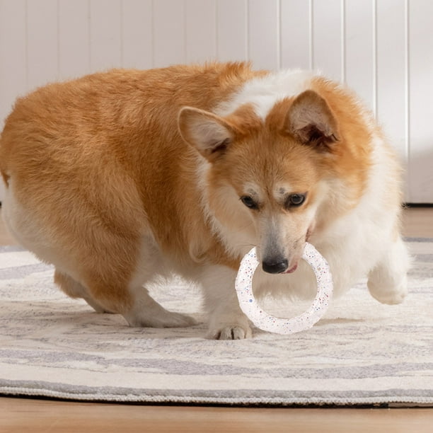Anillos interactivos de entrenamiento para perros | Juguetes anti-mordiscos para aliviar la tensión | Juego de rompecabezas de plástico resistente a las mordeduras para estimulación mental y a