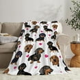 thumbnail image 6 of Dachshund Blanket for Girls Boys Women Gifts for Dachshund Lovers Dachshund Throw Blanket for Kids Adults Ultra Soft Cozy Fleece Blanket for Couch Sofa ​Bed 40"x50", 6 of 6