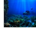 thumbnail image 4 of LOVIVER PVC Waterproof Single Side Landscape Bowl Aquarium Sticker Glass for Marine 122x61cm, 4 of 8