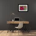 thumbnail image 3 of Bush, Marie 24x17 Black Ornate Wood Framed with Double Matting Museum Art Print Titled - OR, Portland Dahlia and phlox with droplets, 3 of 4