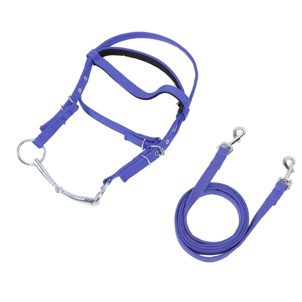 Brida de Caballo de Nailon Elegante y Ajustable, Rienda Ecistre Con Estéta Moderna para un Paseo Cómodo, Mejora el Control Con Riende Latales del Caballo, Para Un Uso