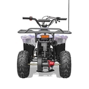 Vitacci Hawk 110cc Fully Automatic Mini ATV