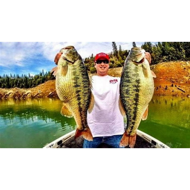 Strike King Rodent 4 Soft Plastic Bait - June Bug Color, 6 Pack, Coffee Scented