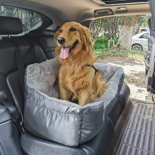 Dog booster seat for 2 outlet dogs