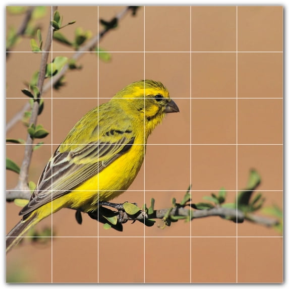 Picture-Tiles.com: Bird Ceramic Tile Wall Mural WAL500186-66L. 48"W x 48"H using (36) 8" x 8" Ceramic Tiles-Satin Finish