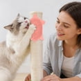thumbnail image 4 of Outdor Turtle Shaped Cat Comb Wall Mounted Cat Scratching Board & Self Grooming Device, 4 of 5