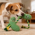 thumbnail image 4 of Durable Interactive Fruit Shaped For Tug Of War Chewing And Squeaky, 4 of 6