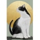 thumbnail image 1 of cuadro decorativo gatos fragoso lienzo by suma 1 pieza 30 X 45 CM, 1 of 2