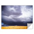 thumbnail image 2 of Dean Uhlinger "Navajo Monsoon" Removable Wall Art, 2 of 2