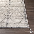 thumbnail image 2 of Surya Birch BHC-2302 30x96" Runner Global Microfiber Area Rug in Cream/Charcoal, 2 of 7