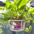 thumbnail image 3 of ing Railing Planter Baskets Flower Pot Holder er Iron Potted Plants Rack White, 3 of 8