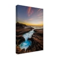 thumbnail image 2 of Trademark Fine Art 'Lanai Pursuit' Canvas Art by Jason Matias, 2 of 3