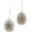 Silver, variant on Adorable Genuine Fossil Sand Dollar 925 Sterling Silver Earrings, 11/16"