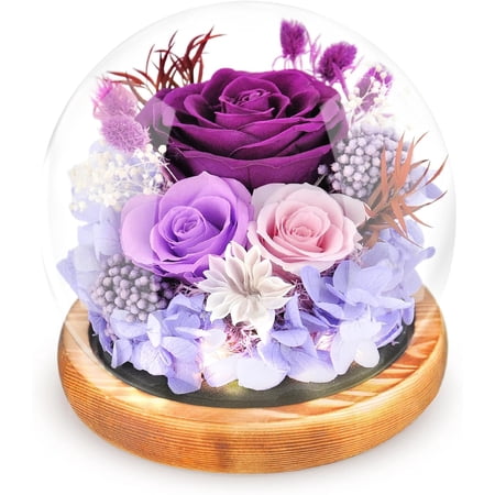 Preserved Flowers Rose in Glass Dome Forever Flowers Valentines Day Gifts for Her Eternal Roses with Light Long-Lasting Real Flowers Mothers Day Birthday for Women Mom Grandma Purple