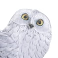 thumbnail image 4 of Accesorio de disfraz: disfraz de búho de peluche de Hedwig Harry Potter, 4 of 6