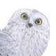 thumbnail image 4 of Accesorio de disfraz: disfraz de búho de peluche de Hedwig Harry Potter, 4 of 6