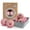Pink Pig, variant on 6pcs XL Wool Dryer Balls, Organic Dryer Balls, Cute Pig Shapes, Reusable Natural Wool, Reduce Drying Time, with Moisture-Proof Storage Box, Eco-Friendly Laundry Aid, Pink