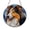 Acrylic 3.5 Inch, variant on Dog Stained Glass Style Window Suncatcher, Fantasy Canine Decorative Window Hanging Art, Elegant Dog Inspired Home Decor, Glass Style Window Accent for Cozy Living Space, Creative Gift for Dog Lovers