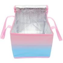 Cake Insulation Bag Pizza Takeout Small Insulated Snack Cooler Grocery Bags The Tote Shopping