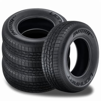 Advanta HPZ-02 Performance 255/45ZR20 105W XL Passenger Tire