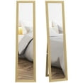 thumbnail image 1 of HOMCOM Full Length Mirror, Farmhouse Wall Mirror, Hanging & Freestanding, 1 of 10