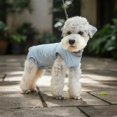 thumbnail image 4 of predolo Traje Antiacoso para Perro Macho Transpirable y Elástico Pantalón Fisiológico para Perro Secado Rápido Traje de Recuperación de Cirugía, 4 of 10