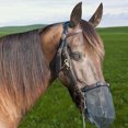 thumbnail image 3 of Máscara Caballo Nariz Protección Mosquito Malla Transpirable S Cuidado Caballos Productos, 3 of 9