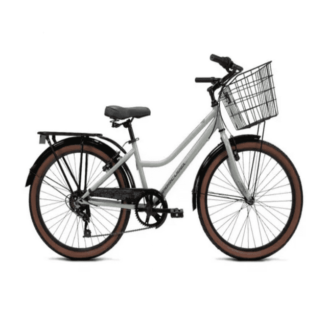 Bicicleta Mercurio Country Capressi 6 Velocidades Rodada 24