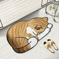 thumbnail image 7 of WMGHA Cat Rug - Decorative Cat Door Mat with Sleeping Tabby Cat Design - Floor Carpet for Front Door,Bathroom Entry,Living Room,Hand-Hooked Polyester Material,Non-Slip Bottom - 24x15.75 inches, 7 of 7