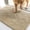 Beige, variant on Muddy Mat®|TrapMax Dog Door Mat for Muddy Paws, 1550 GSM Chenille Dirt Trapper, Super Absorbent Non-Slip Washable Entryway Rug, Quick Dry Mud Mat for Dogs, Entryway Carpet Indoor Pet, Beige 18"x28"