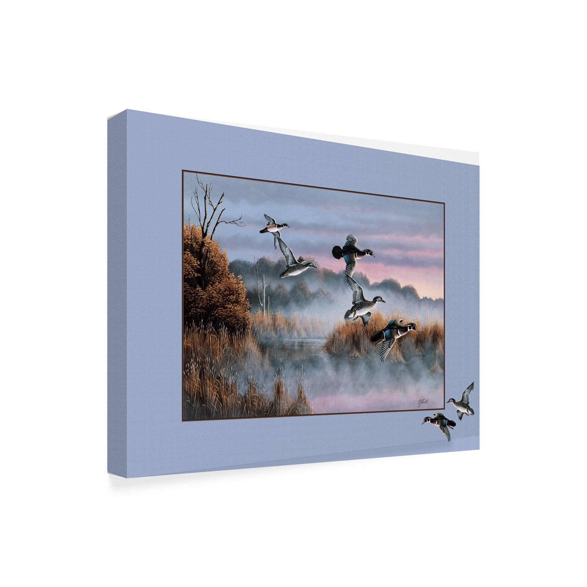 Trademark Fine Art 'Ducks In Flight' Canvas Art by Wilhelm Goebel