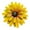 F, variant on Sunflower Metal Flowers Wall Decor Metal Wall Art Decorations Hanging For Indoor Outdoor Home Kitchen Bedroom Garden