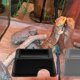 thumbnail image 4 of OUNONA Reptile Hide Con Para Habitat Y Descanso De Mascotas Reptiles, 4 of 7