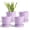 Purple-3, variant on BUYMAX 5" White Ceramic Planters with Drainage Hole and Tray, 4-Pack - Ribbed Modern Farmhouse Decor, Small Flower Pots for Succulents & Cactus, Indoor Desktop Garden Set