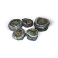 thumbnail image 1 of Acrylicos Vallejo VJPSC302 Scenery Palm Stumps Miniatures, 1 of 1