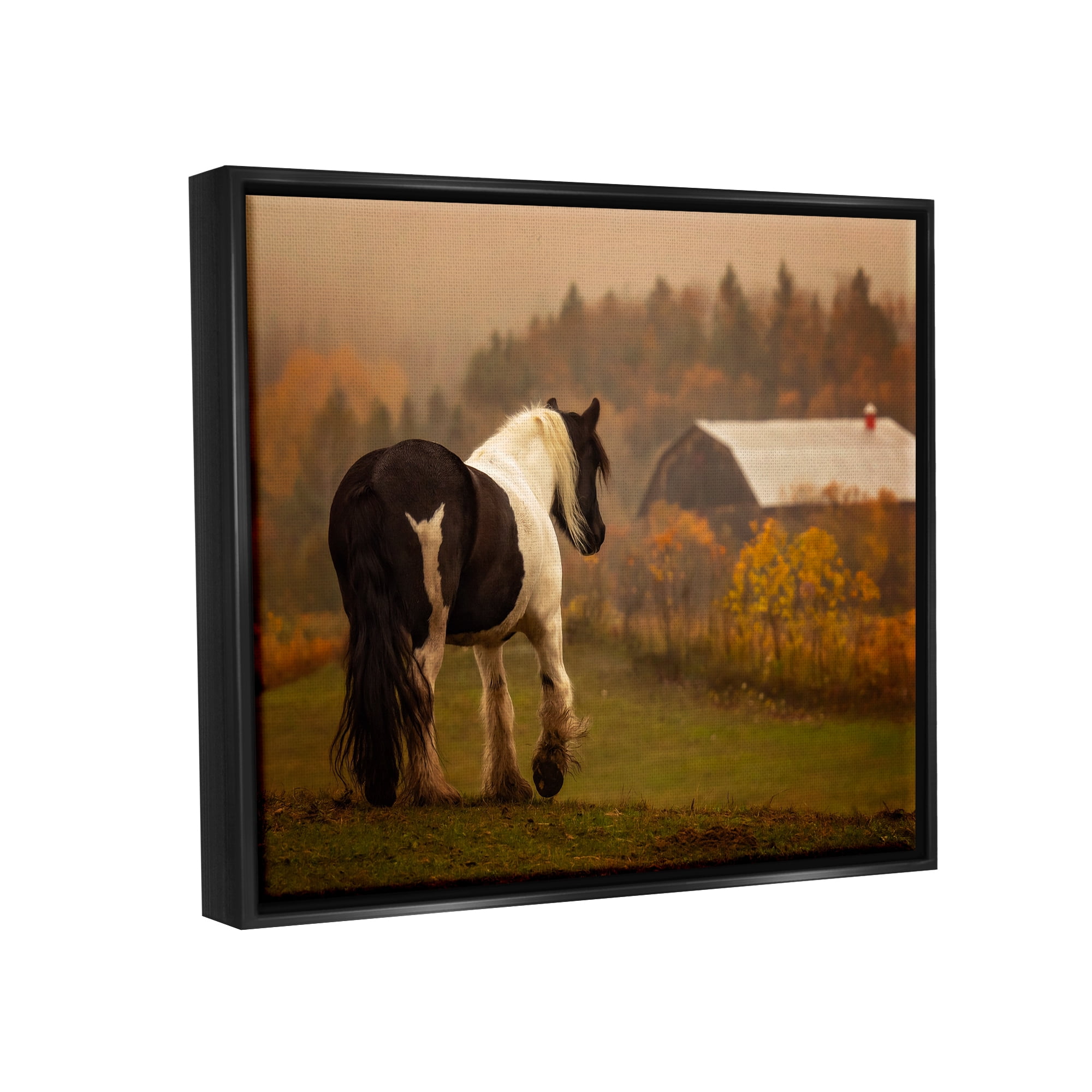 Stupell Industries Horse Overlooking Barn Landscape Photography Black Floater Framed Canvas Art Print Wall Art, 21 x 17
