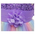 thumbnail image 6 of Toddler Baby Girl Flower Sequin Round Neck Sleeveless Dresses Rainbow Mesh Princess Dress Tutu Evening Dress, 6 of 7