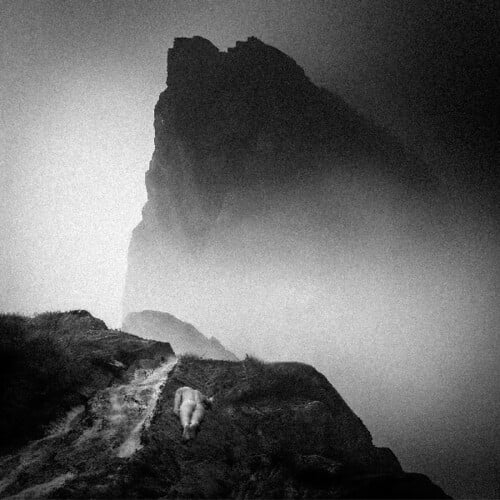 Mizmor / Hell - Alluvion - Music & Performance - CD