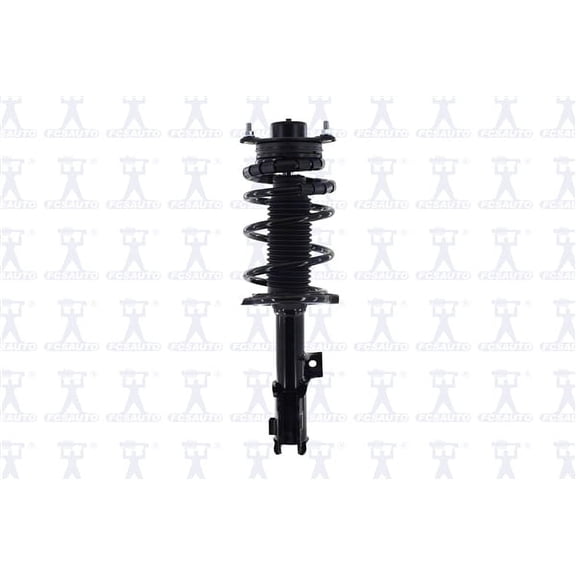 Suspension Strut and Coil Spring Assembly