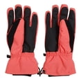 thumbnail image 2 of Dare 2B Gants de Ski Diversity II pour Hommes, 2 of 4