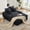 Dark Gray, variant on MOONMISS 69in Corduroy Chaise Lounge Sofa Bed with 4 Pillows,No Assembly Chair Bed for Small Space Living Room Apartment,Grey