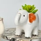 thumbnail image 1 of Cajas de ventana de plantas de modernas Contenedores de plantas de flores pequeñas Maceta de estatua de animales para interior Oficina DYNWAVEMX maceteros de cara, 1 of 7
