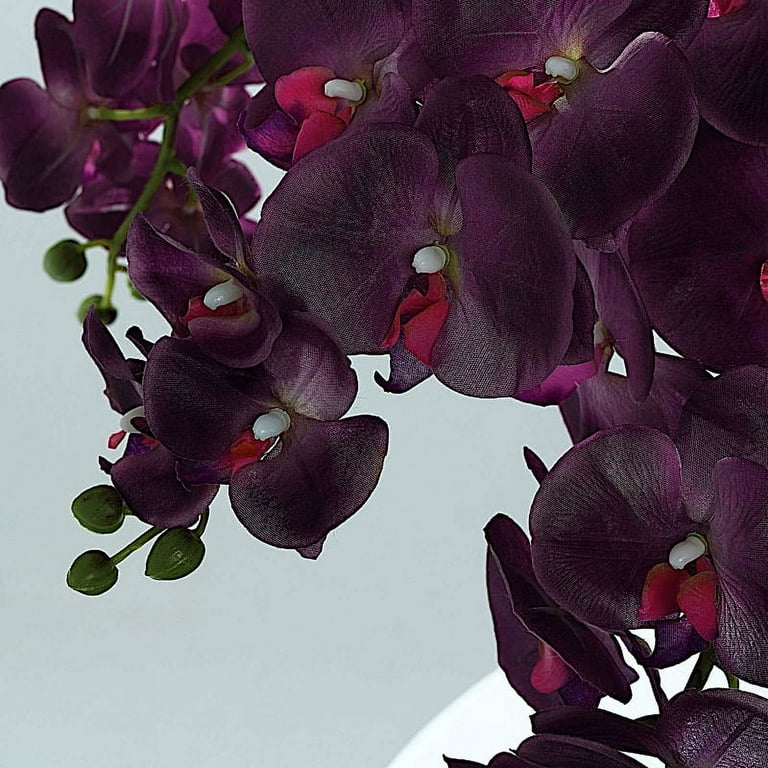 BalsaCircle 2 Eggplant Purple 40