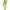 Green 1, variant on Ltctricy Womens Tight Yoga Pants Soft Stretchy Butt Lifting Leggings Lounge Gym Workout Running Trousers